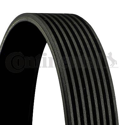 Keilrippenriemen Continental Ctam 8PK1220 Poly V Riemen Rippenriemen-image