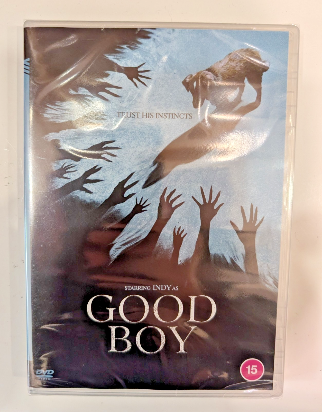 Good Boy Visions Home Video - Image 3