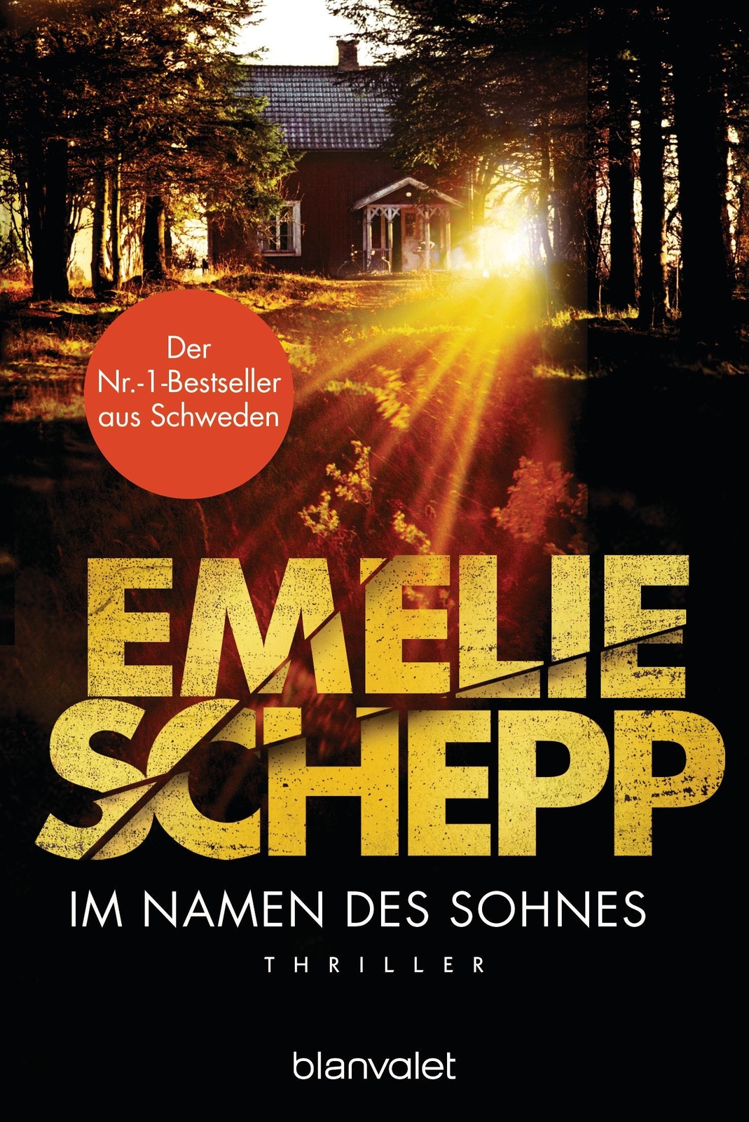 Thumbnail - Namen Des Sohnes, Emelie Schepp