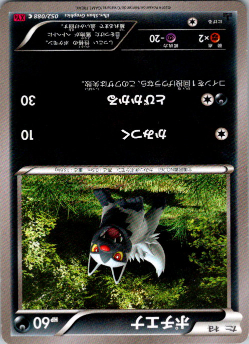 Poochyena 1st Edition Common XY4: Phantom Gate 052/088 NM