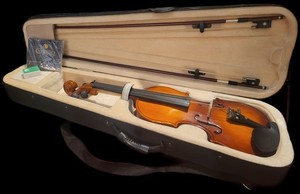 Cecilio Violin Cvn 300 | eBay