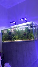 Aqua One 325 Aquarium Fish Tank