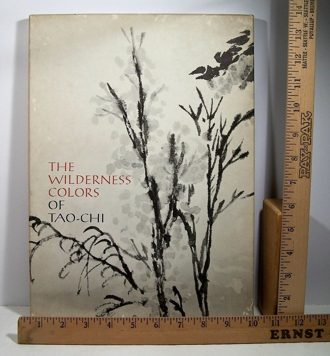 The Wilderness Colors Of Tao-Chi - Metropolitan Museum Of