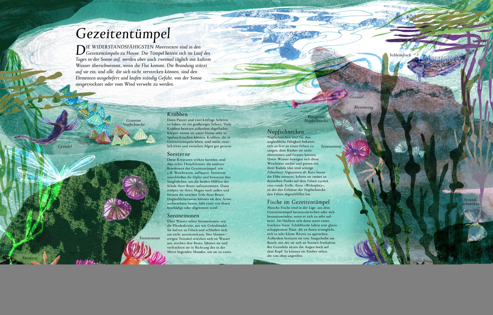 Thumbnail - Das Meer - Wichtige Themen: Artenvielfalt Und Naturschutz In Einem...