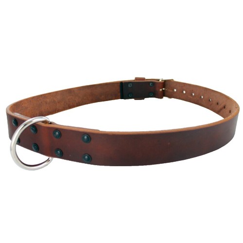T.REX ARMS Speed Belt - Outer - X-Large - M81 Woodland | eBay