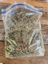 1 Gallon Bag 12 oz Fresh Florida LIVE SPANISH MOSS, Crafts/Arrangements/Mulch