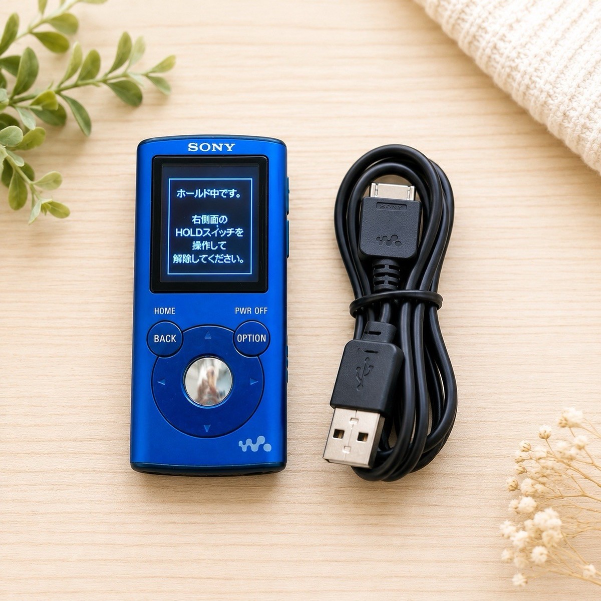 Sony Walkman NW-E052 2GB Blue MP3 Player Japan Model Japanese