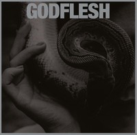 Godflesh - Purge - Cd - 99 - F72Z