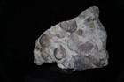 Bild 3 von 4