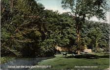 VTG Postcard ~ Intervale Near Cold Spring Park ~ Rochester, New Hampshire