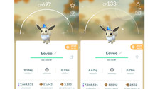  Shiny Eevee (Schillernd Evoli) Moon Crown Po...