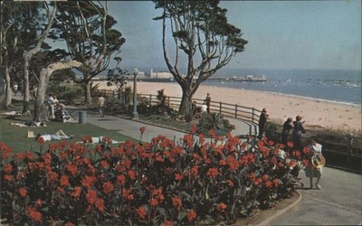 Geo. E. Watson Santa Monica, California CA Bed of Colorful Cannas Palisades Park