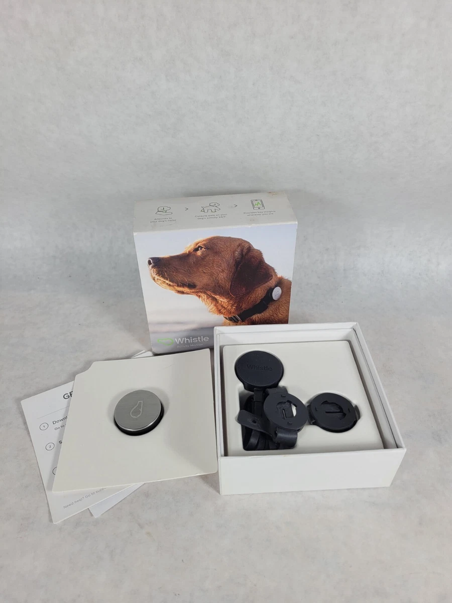 Whistle top activity monitor