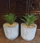  2 Pack Artificial Succulent Plants in Ceramic Pots Fake Succulents Plants Green