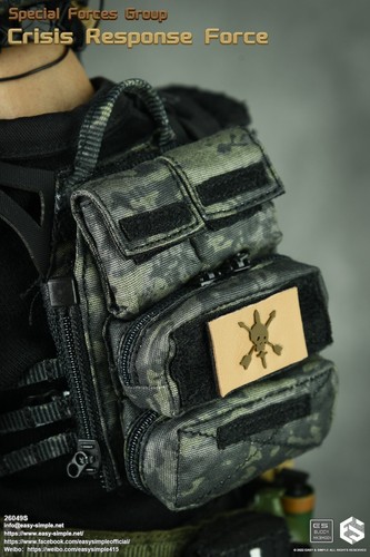 1:6 Easy & Simple Special Forces Group Crisis Response Force Patches Set - Picture 10 of 11