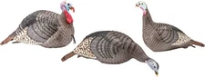 HS Strut 100006 Strut-Lite Flock Wild Turkey Species Multi Color Synthetic 3