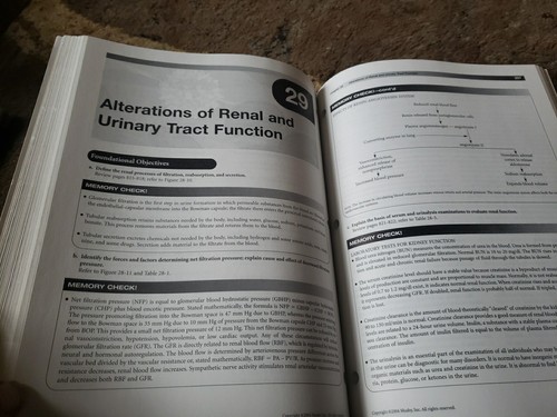 Understanding Pathophysiology Third 3rd Edition Study Guide and Workbook Parkins - Imagen 13 de 17