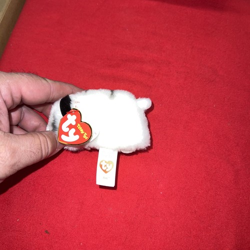 TY Beanie Teeny Tys ZACK White Tiger Stackable Plush Stuffed Animal Toy NWT 4" - 第 3/4 張圖片