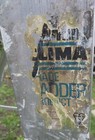 Afbeelding 16 van 22