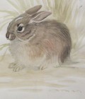 Foto 2 di 6
