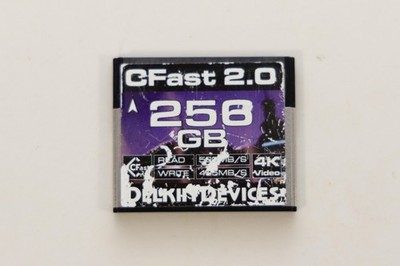 Delkin Devices 256GB CFast 2.0 Memory Card