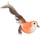 Bild 10 von 24