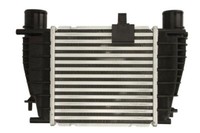 Thermotec DA1008TT LadeluftküHler TurboküHler FüR Note NV200 Evalia Tiida Clio