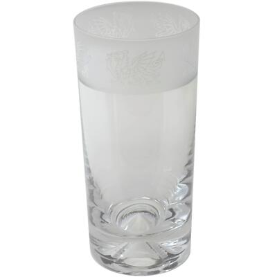 Highball Glass Decorated Welsh Dragon Frosted Sandblast Drink Tumbler Gift Animo