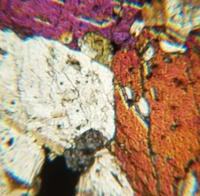 Thin-section Mount Silicic Magma from Iceland Petrographic Microscope Slide