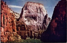 Great White Throne Zion National Park Utah UT Scenic View Postcard