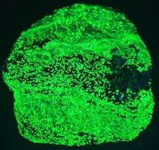 Sweet Big SW LW UV Fluorescent Solid Red Willemite Sterling Hill by Franklin NJ