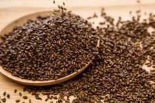 Premium quality herb Cassia Seed 决明子 Jue ming zi 200g