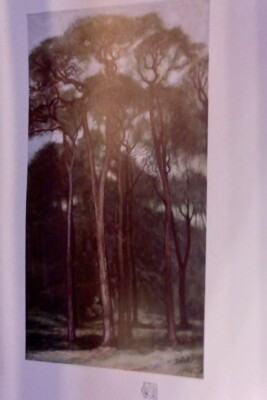 1904 Sir Charles Holroyd + Study of Trees +  orig.Lithograph