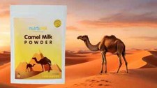 Lait de chameau en poudre immunité et développement du cerveau lyophilisé 200...