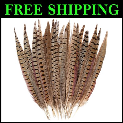 20pcs Male Pheasant Feather 16-18'' for Wedding Decoration