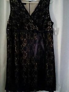 Dress Barn Collection Dress Size 14p New With Tags Ebay