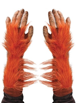 Orang-Utan Hände