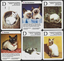 13 Different Vintage SIAMESE Cat Cards