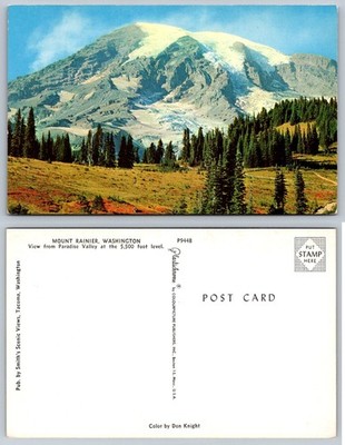 Mount Rainier Washington Paradise Valley Plastichrome Postcard Don Knight