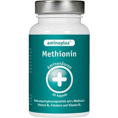 AMINOPLUS Methionin plus Vitamin B Komplex Kapseln, 60 St PZN 01824186