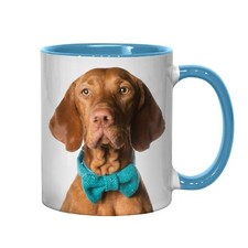 VIZSLA Light Blue Inner Mug | A Great Gift for any Dog Lover! | AAA | HD | 11oz