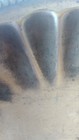Bild 21 von 24