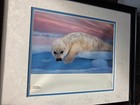 ART BY National Geographic Print Harp Seal Pup Photo by Brian Skerry NUMBERED 49 — photo 1