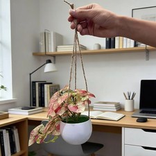 Plante Artificielle Réaliste Suspendue Décor en Pot pour Maison Jardin Balcon