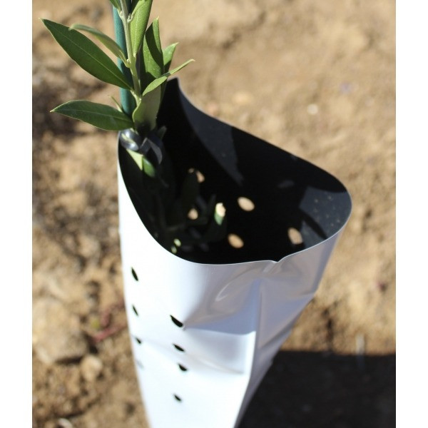 Protector de árbol o planta bolsa 60x18 bicapa perforado 600 galgas pack 50uds