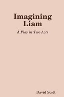 Imagining Liam David Scott Taschenbuch Kartoniert / Broschiert Englisch 2017