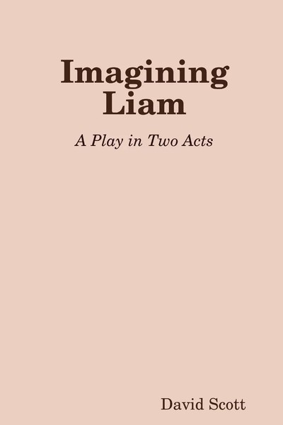 Imagining Liam David Scott Taschenbuch Kartoniert / Broschiert Englisch 2017-image