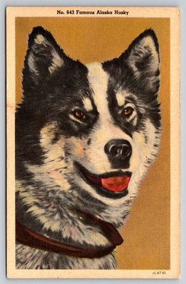 Alaska AK Husky Famous Portrait Linen Vintage Postcard AA11
