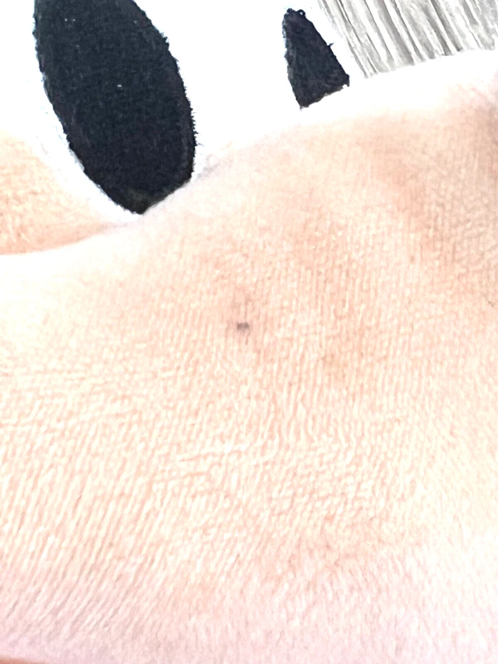 NUEVO CON ETIQUETAS 17" Disney Minnie Mouse Muñeca de Peluche - Juguete de Peluche Licencia Auténtica Foto 4 de 4