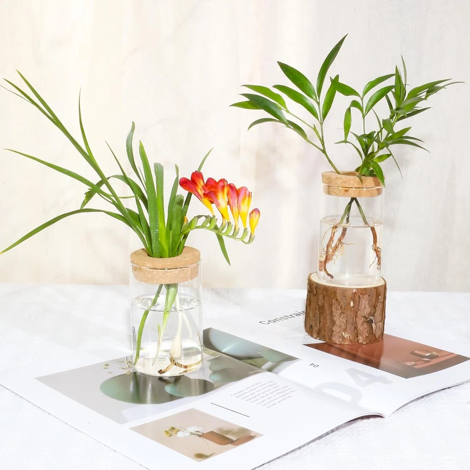 Floreros de vidrio - Estaciones de propagación de plantas de 2 piezas para el hogar y la sala de estar Foto 3 de 4